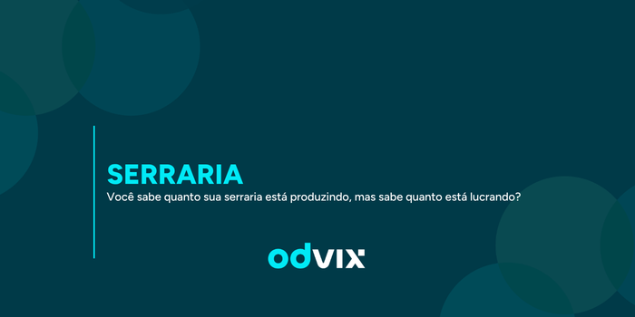 Você sabe quanto sua serraria está produzindo mas sabe quanto está lucrando?